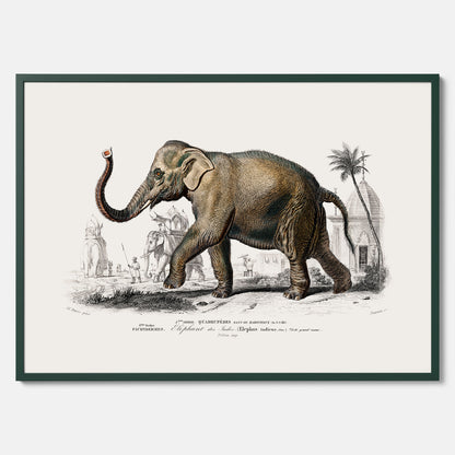 Historisk poster från 1837 som visar en illustration av en elefant