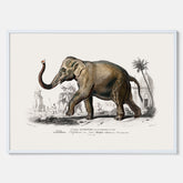 Historisk poster från 1837 som visar en illustration av en elefant