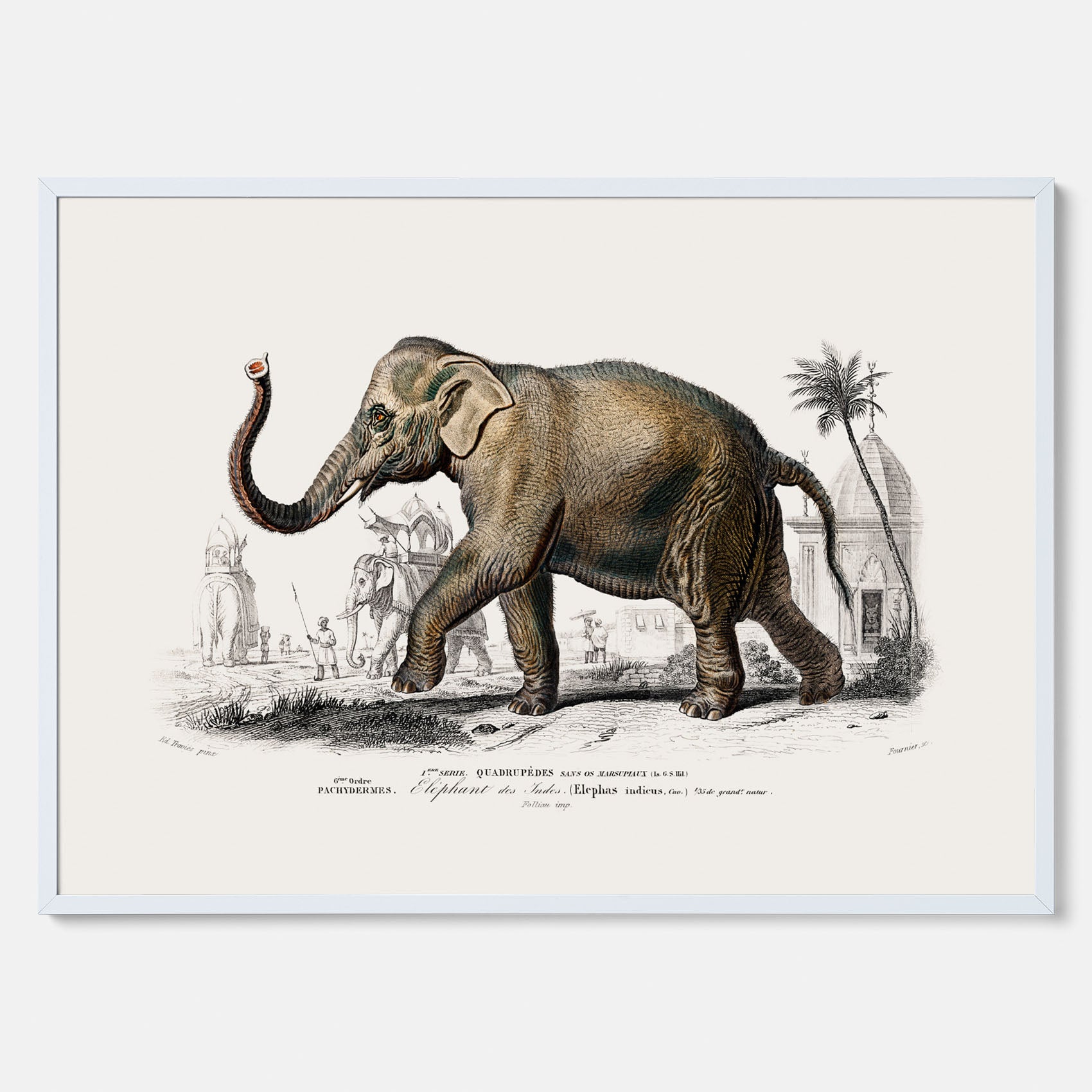 Historisk poster från 1837 som visar en illustration av en elefant