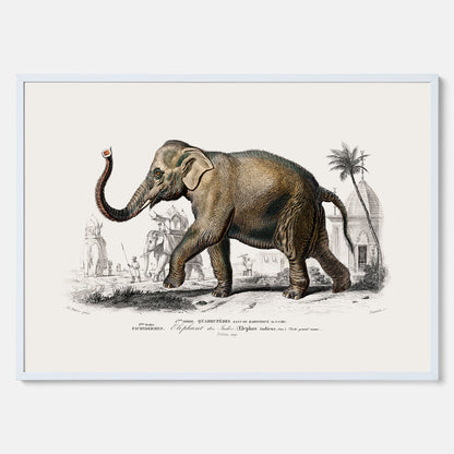 Historisk poster från 1837 som visar en illustration av en elefant