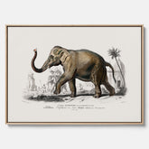 Historisk poster från 1837 som visar en illustration av en elefant i canvas