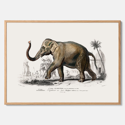 Historisk poster från 1837 som visar en illustration av en elefant