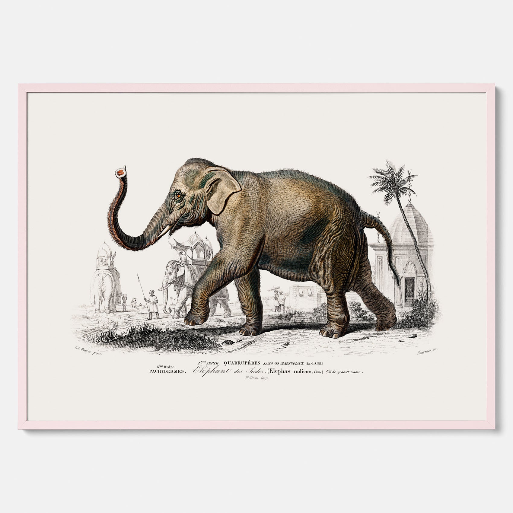 Historisk poster från 1837 som visar en illustration av en elefant