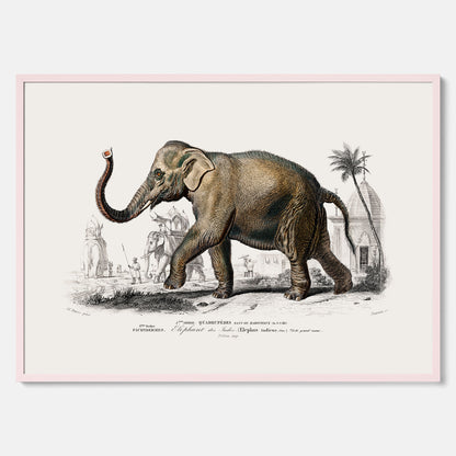 Historisk poster från 1837 som visar en illustration av en elefant