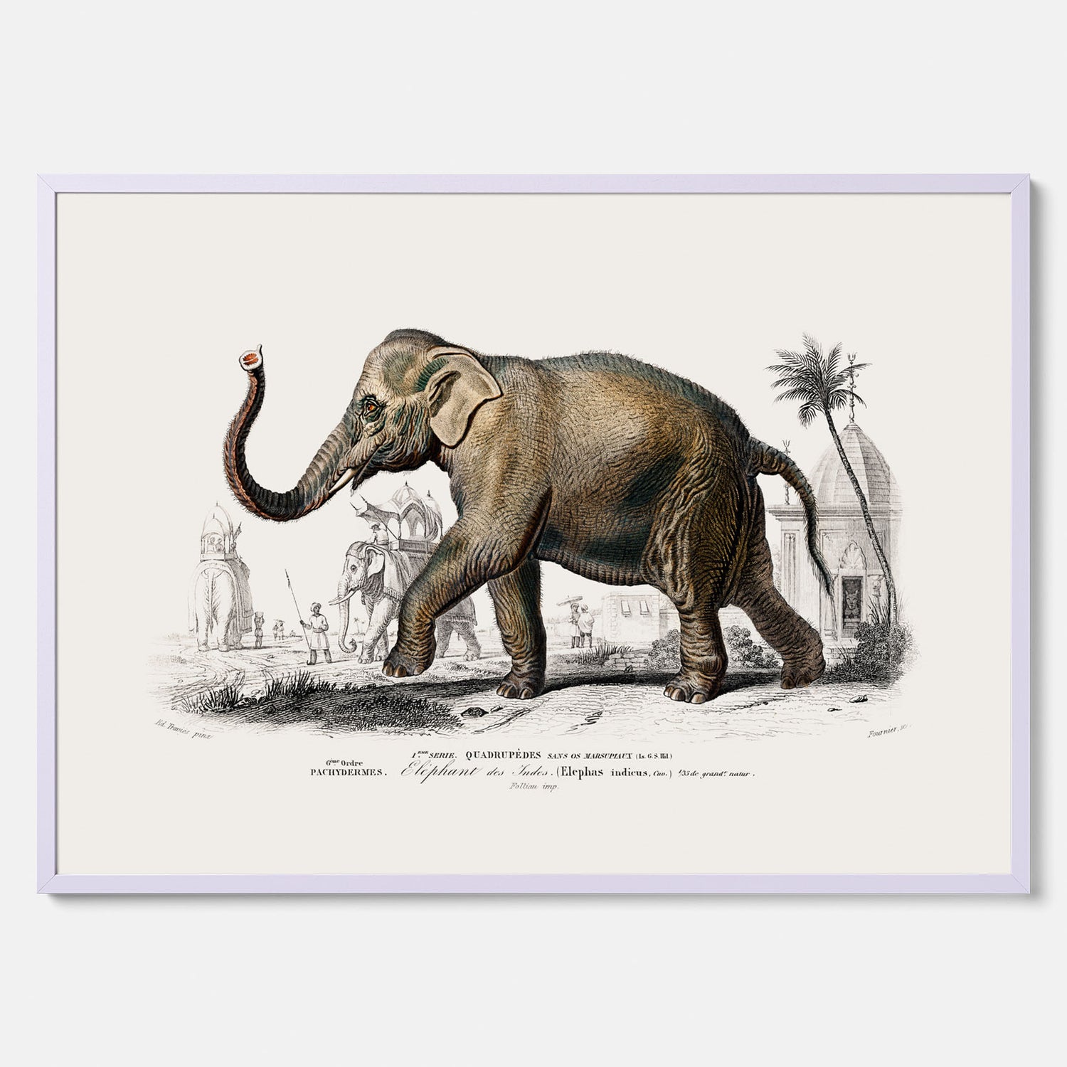 Historisk poster från 1837 som visar en illustration av en elefant