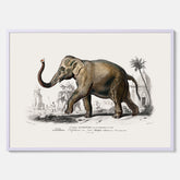 Historisk poster från 1837 som visar en illustration av en elefant