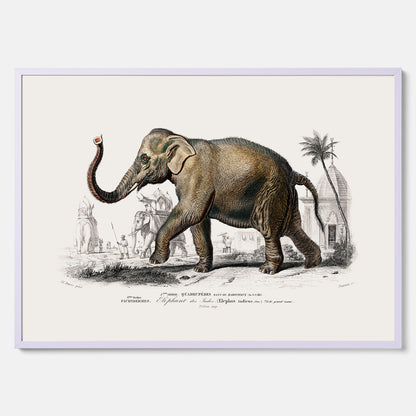 Historisk poster från 1837 som visar en illustration av en elefant