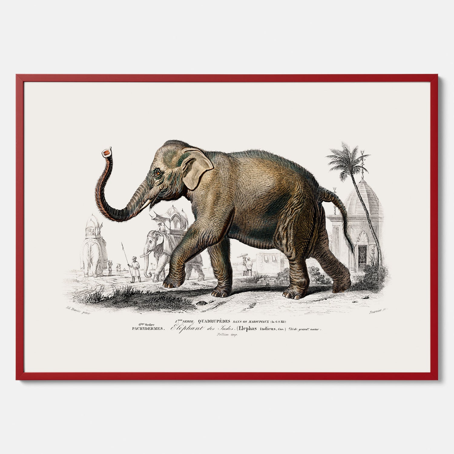 Historisk poster från 1837 som visar en illustration av en elefant