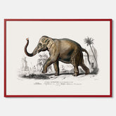 Historisk poster från 1837 som visar en illustration av en elefant