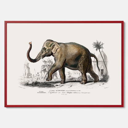 Historisk poster från 1837 som visar en illustration av en elefant