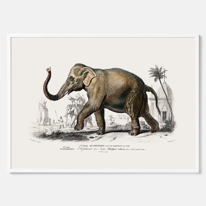 Historisk poster från 1837 som visar en illustration av en elefant