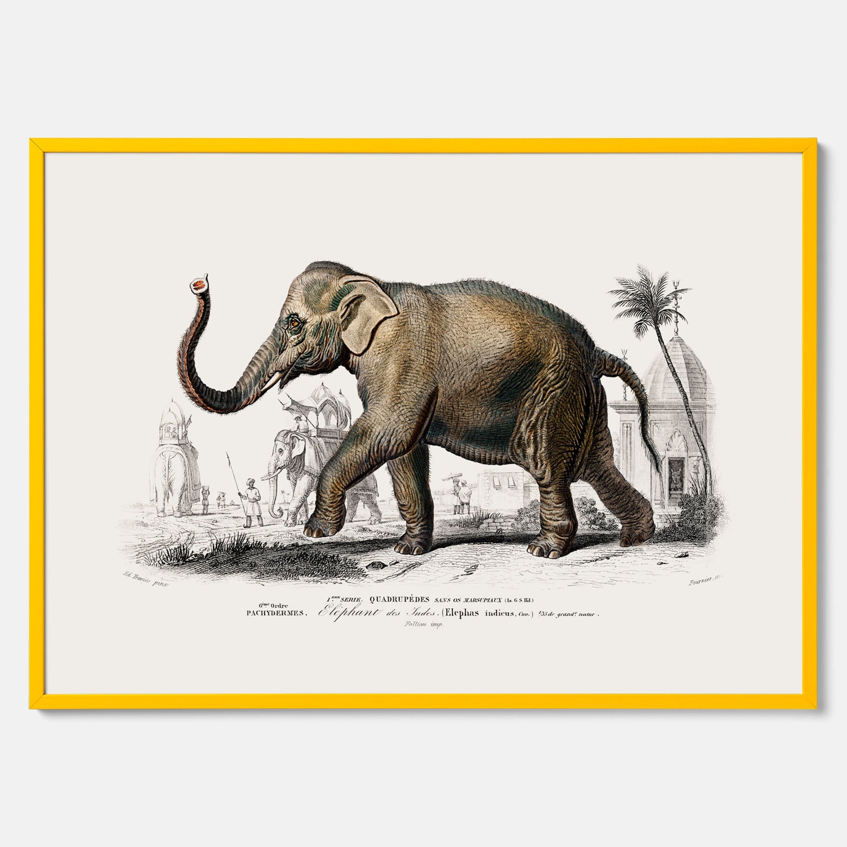 Historisk poster från 1837 som visar en illustration av en elefant