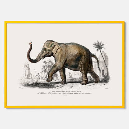 Historisk poster från 1837 som visar en illustration av en elefant