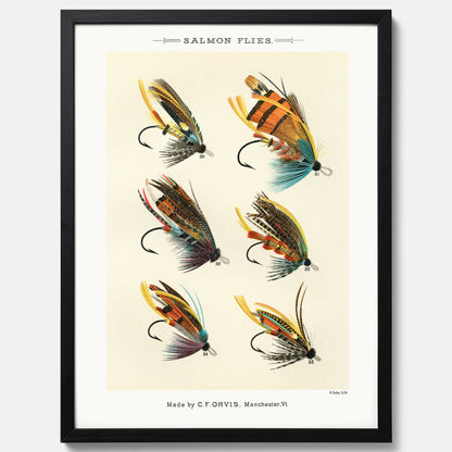 Vintageposter med illustration av fiskedrag för att flugfiska lax, skapad av Mary Orvis Marbury