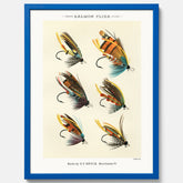 Vintageposter med illustration av fiskedrag för att flugfiska lax, skapad av Mary Orvis Marbury