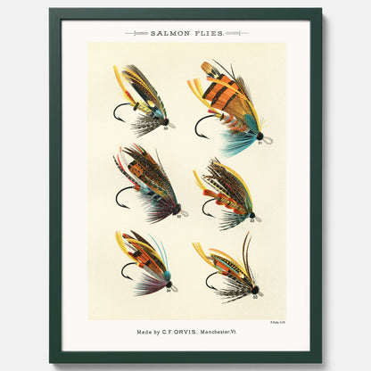 Vintageposter med illustration av fiskedrag för att flugfiska lax, skapad av Mary Orvis Marbury