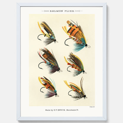 Vintageposter med illustration av fiskedrag för att flugfiska lax, skapad av Mary Orvis Marbury
