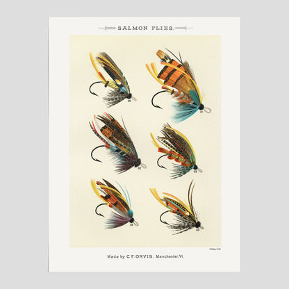 Vintageposter med illustration av fiskedrag för att flugfiska lax, skapad av Mary Orvis Marbury