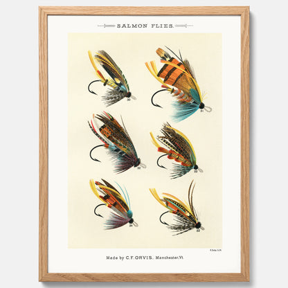 Vintageposter med illustration av fiskedrag för att flugfiska lax, skapad av Mary Orvis Marbury