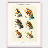 Vintageposter med illustration av fiskedrag för att flugfiska lax, skapad av Mary Orvis Marbury