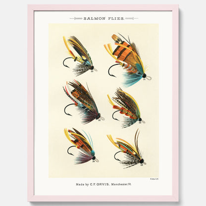 Vintageposter med illustration av fiskedrag för att flugfiska lax, skapad av Mary Orvis Marbury