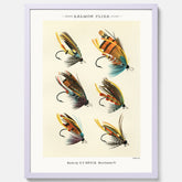 Vintageposter med illustration av fiskedrag för att flugfiska lax, skapad av Mary Orvis Marbury