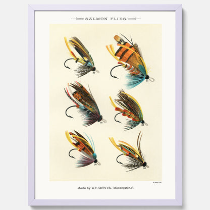 Vintageposter med illustration av fiskedrag för att flugfiska lax, skapad av Mary Orvis Marbury