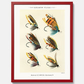 Vintageposter med illustration av fiskedrag för att flugfiska lax, skapad av Mary Orvis Marbury