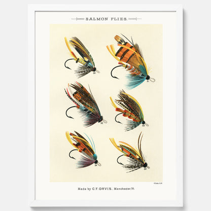 Vintageposter med illustration av fiskedrag för att flugfiska lax, skapad av Mary Orvis Marbury