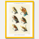 Vintageposter med illustration av fiskedrag för att flugfiska lax, skapad av Mary Orvis Marbury