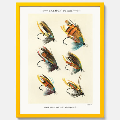 Vintageposter med illustration av fiskedrag för att flugfiska lax, skapad av Mary Orvis Marbury