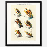 Vintageposter med illustration av fiskedrag för att flugfiska lax, skapad av Mary Orvis Marbury