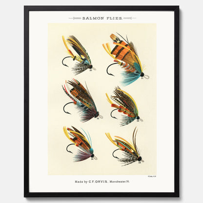 Vintageposter med illustration av fiskedrag för att flugfiska lax, skapad av Mary Orvis Marbury