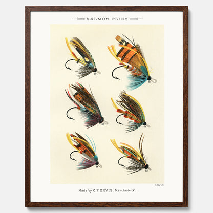 Vintageposter med illustration av fiskedrag för att flugfiska lax, skapad av Mary Orvis Marbury