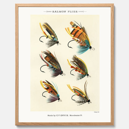 Vintageposter med illustration av fiskedrag för att flugfiska lax, skapad av Mary Orvis Marbury