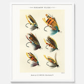 Vintageposter med illustration av fiskedrag för att flugfiska lax, skapad av Mary Orvis Marbury