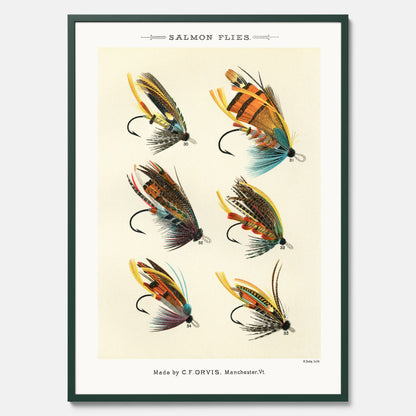 Vintageposter med illustration av fiskedrag för att flugfiska lax, skapad av Mary Orvis Marbury