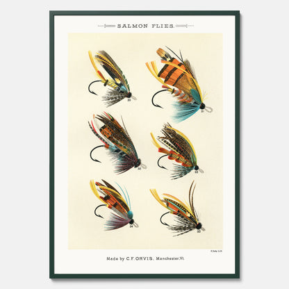 Vintageposter med illustration av fiskedrag för att flugfiska lax, skapad av Mary Orvis Marbury