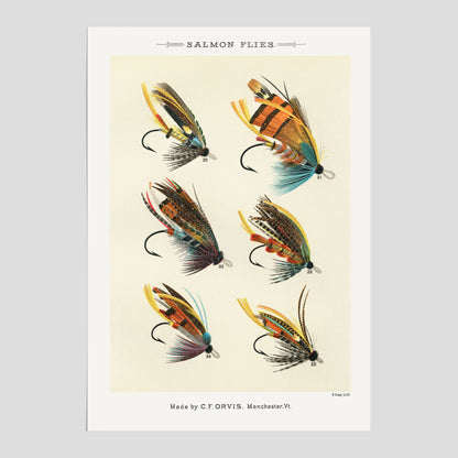 Vintageposter med illustration av fiskedrag för att flugfiska lax, skapad av Mary Orvis Marbury