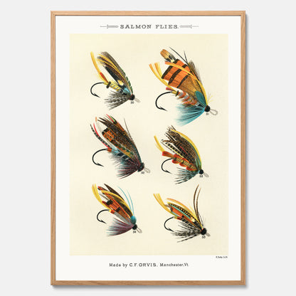 Vintageposter med illustration av fiskedrag för att flugfiska lax, skapad av Mary Orvis Marbury