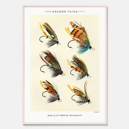 Vintageposter med illustration av fiskedrag för att flugfiska lax, skapad av Mary Orvis Marbury