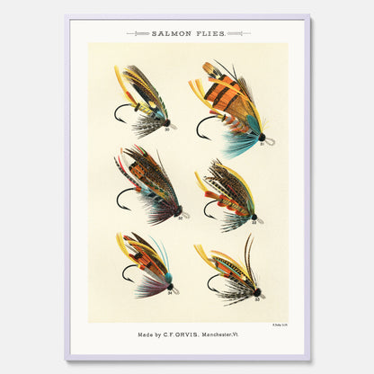 Vintageposter med illustration av fiskedrag för att flugfiska lax, skapad av Mary Orvis Marbury