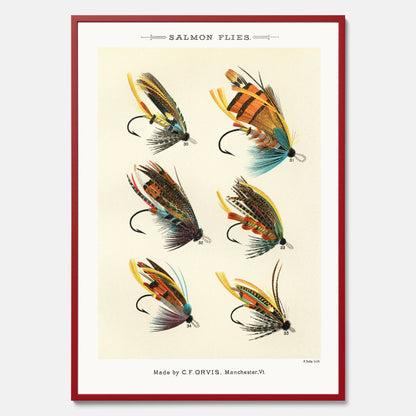 Vintageposter med illustration av fiskedrag för att flugfiska lax, skapad av Mary Orvis Marbury