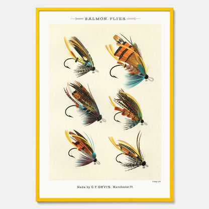 Vintageposter med illustration av fiskedrag för att flugfiska lax, skapad av Mary Orvis Marbury