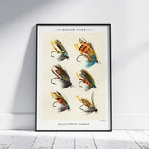 Vintageposter med illustration av fiskedrag för att flugfiska lax, skapad av Mary Orvis Marbury