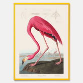 Tavla med Rosa Flamingo poster vintage illustration konst