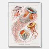 Canvastavla med Maneter  – Havsposter med skivmaneter av Ernst Haeckel