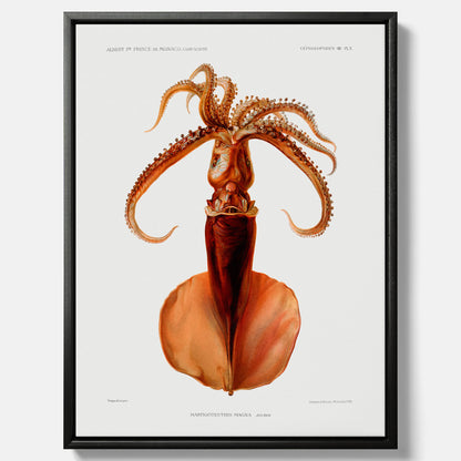 Kökstavla på canvas med en bläckfisk, vintageposter med en illustration av en bläckfisk från boken "Résultats des campagnes scientifiques du prince de Monaco"