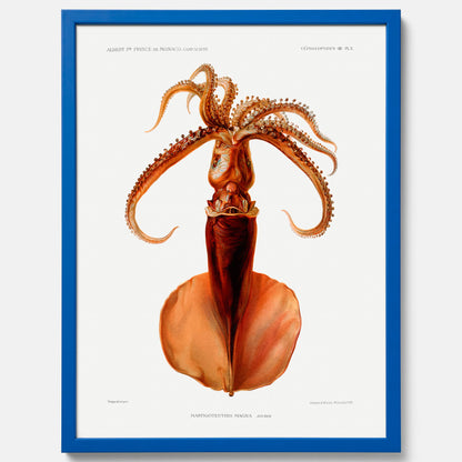Kökstavla med en bläckfisk, vintageposter med en illustration av en bläckfisk från boken &quot;Résultats des campagnes scientifiques du prince de Monaco&quot;