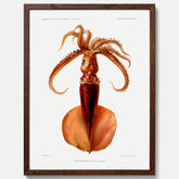Kökstavla med en bläckfisk, vintageposter med en illustration av en bläckfisk från boken "Résultats des campagnes scientifiques du prince de Monaco"